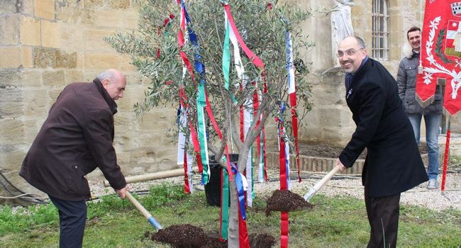 Un arbre a été planté, symbolisant cette belle amitié franco-italienne./Photo DDM, Y.C-S