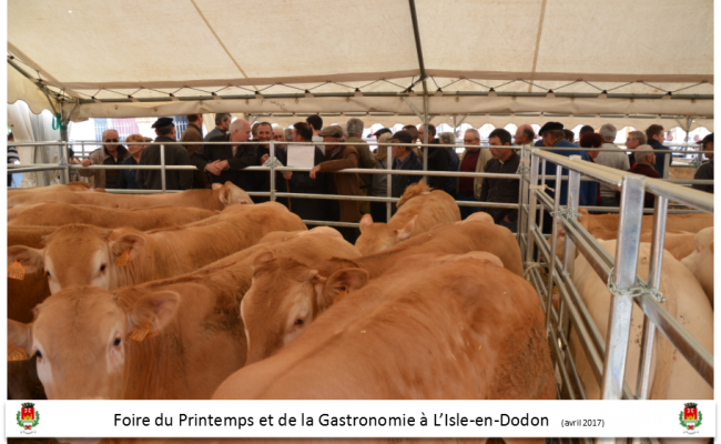 foire du printemps et de la gastronomie l'isle en dodon