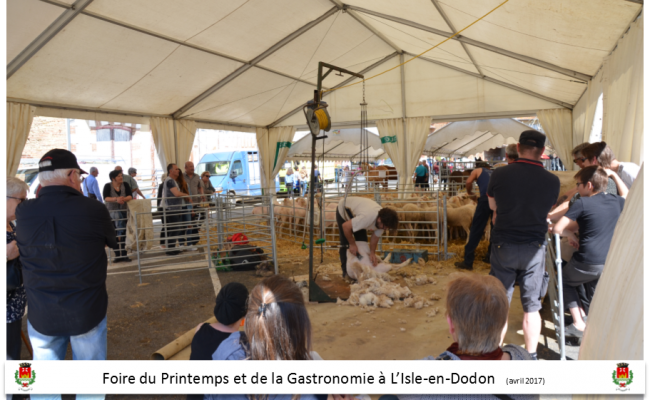 foire du printemps et de la gastronomie l'isle en dodon