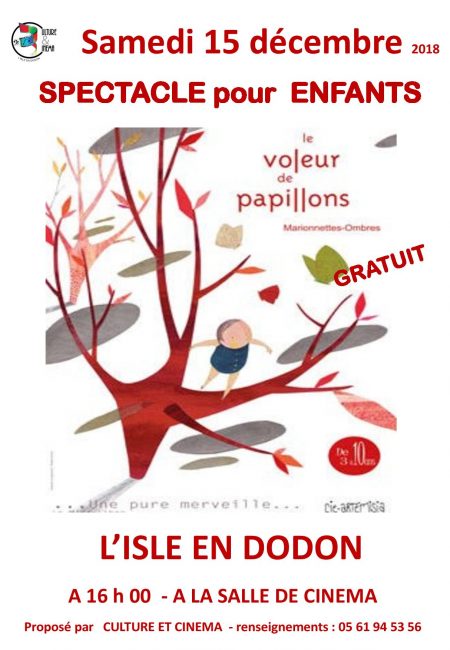 AFFICHE LE VOLEUR DE PAPILLONS.JPG-page-001