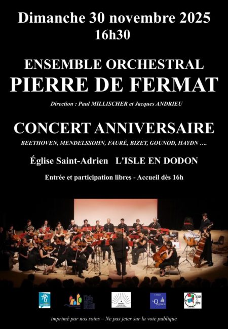 projet_affiche_fermat_2025_noire